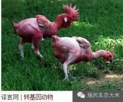 2019年7月29日 (一) 22:35的版本的缩略图