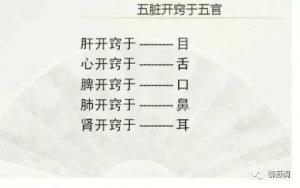 五窍1.jpg