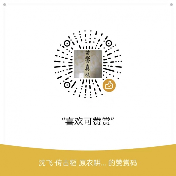 文件:沈飞赞赏码1.jpg
