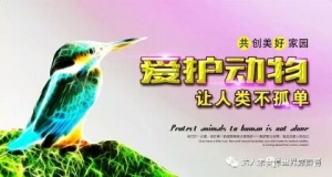 爱护动物1.jpg