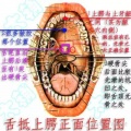 2022年6月5日 (日) 05:04的版本的缩略图