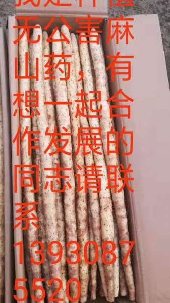 文件:王兰江5.jpg